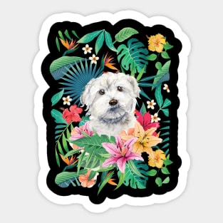 Tropical Maltese Dog 2 Sticker